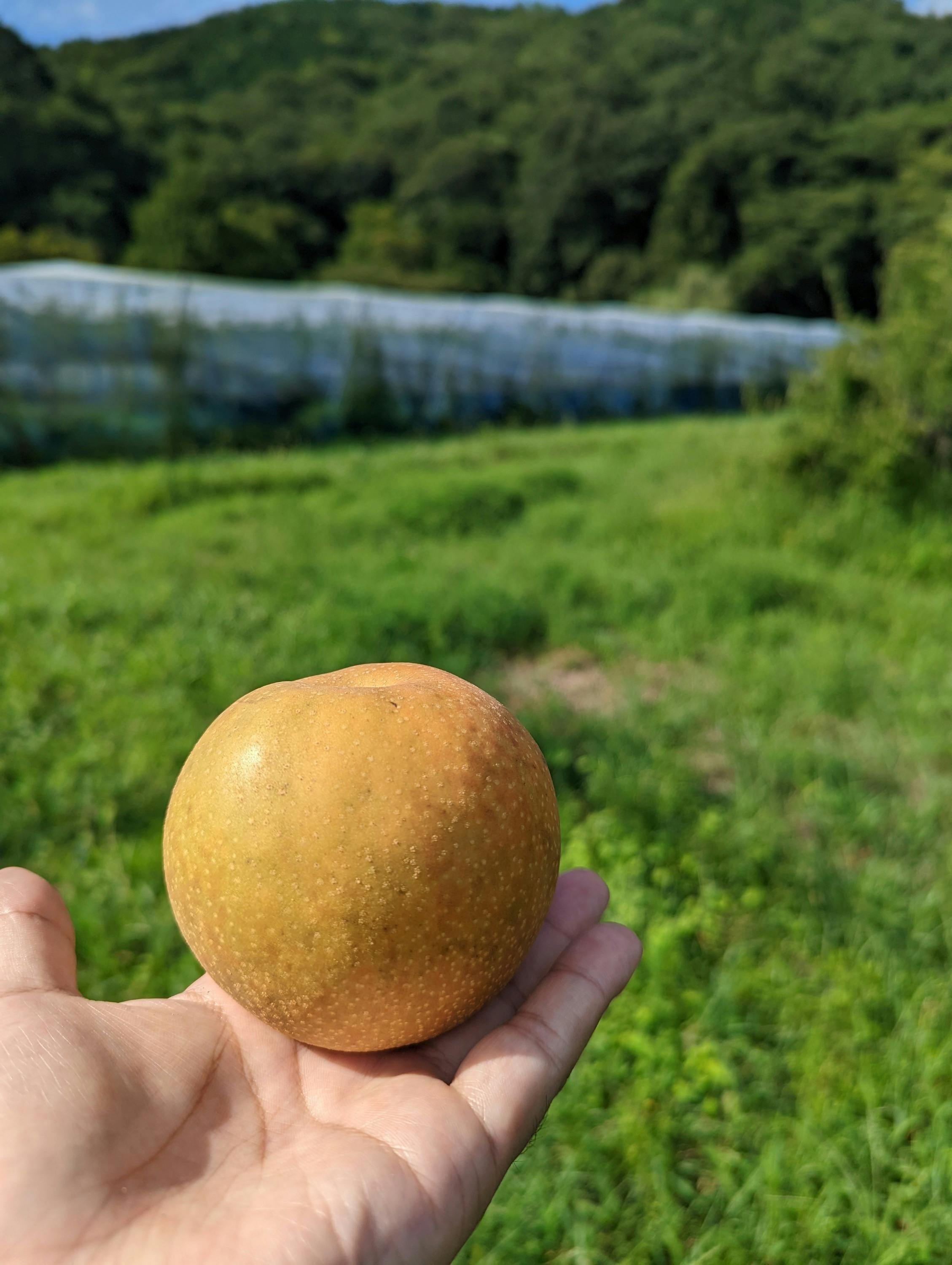 5番目のメイン画像