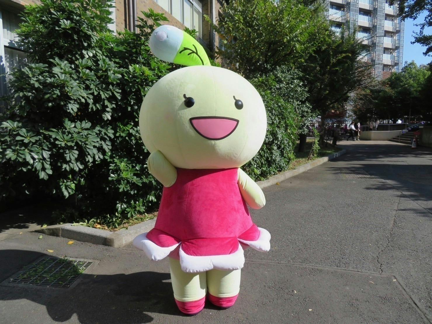 2番目のメイン画像