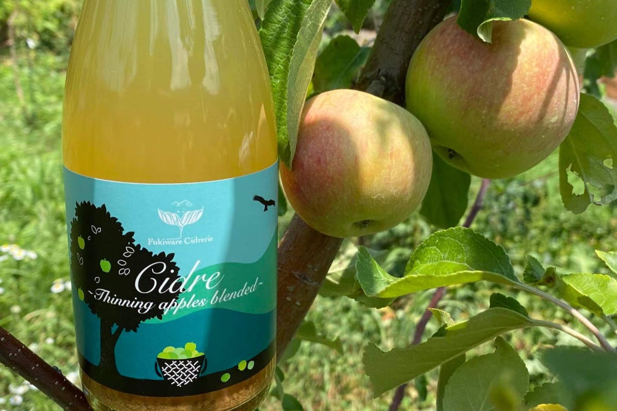 1番目のメイン画像