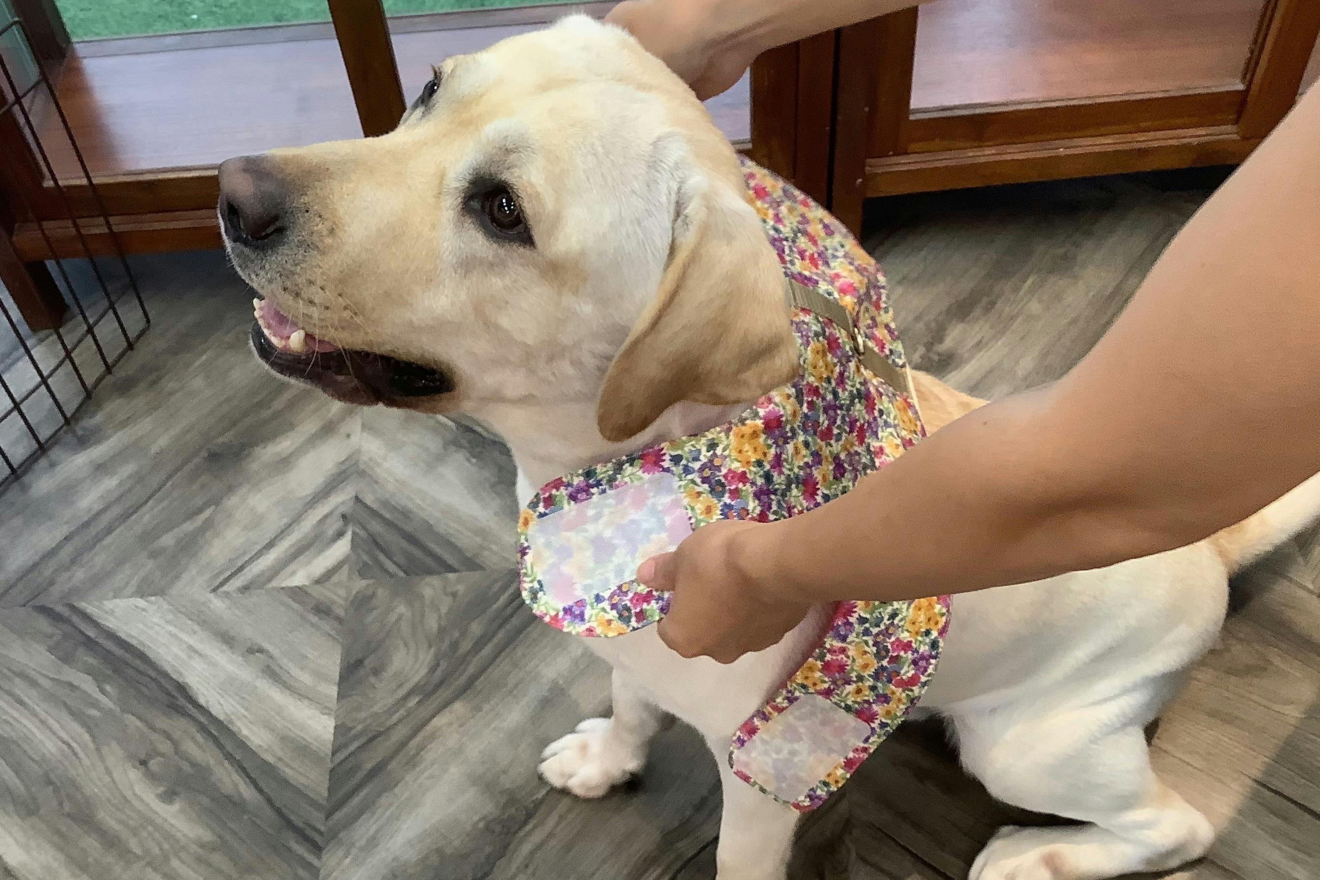 4番目のメイン画像