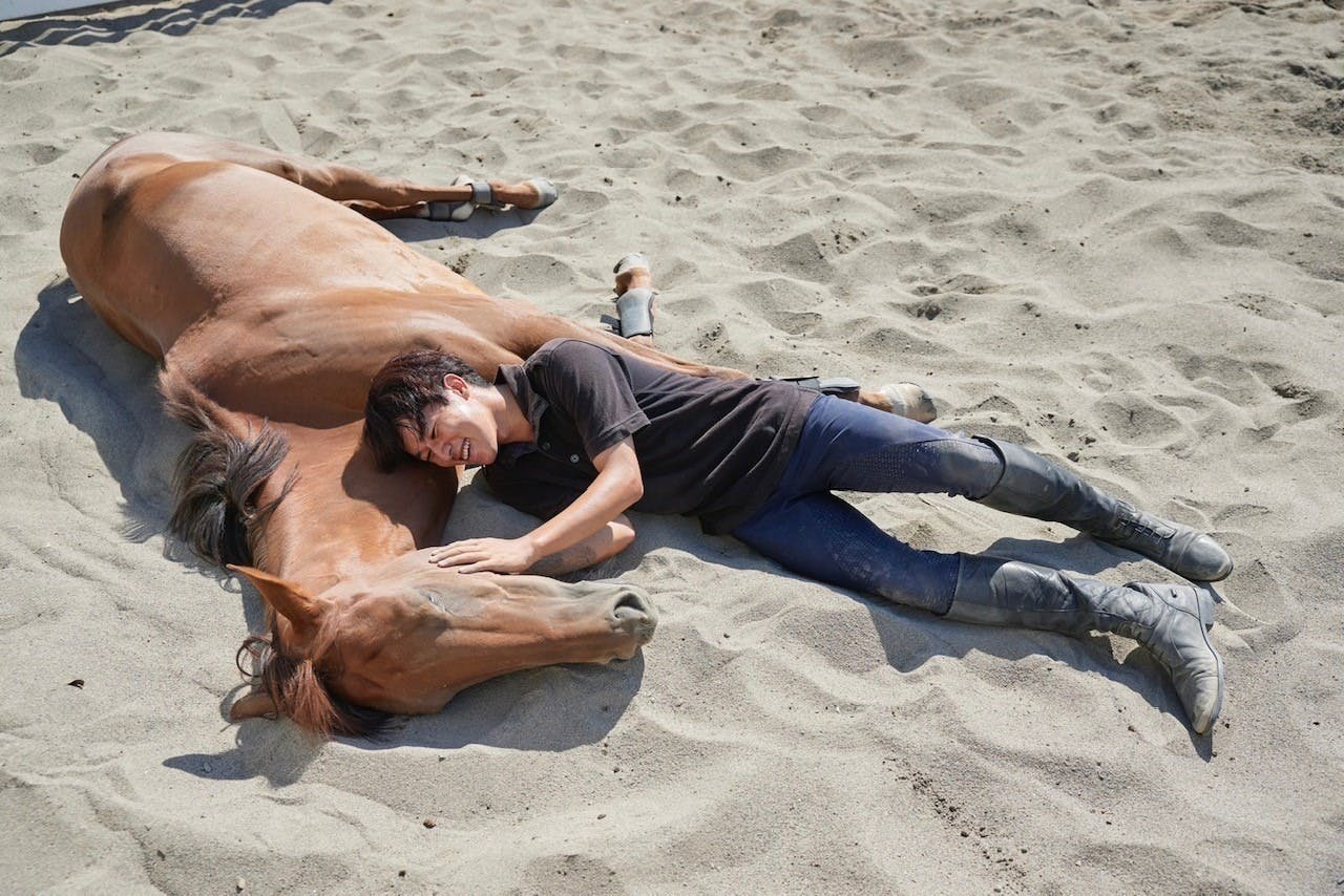 2番目のメイン画像