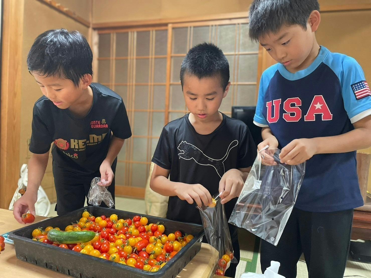 3番目のメイン画像