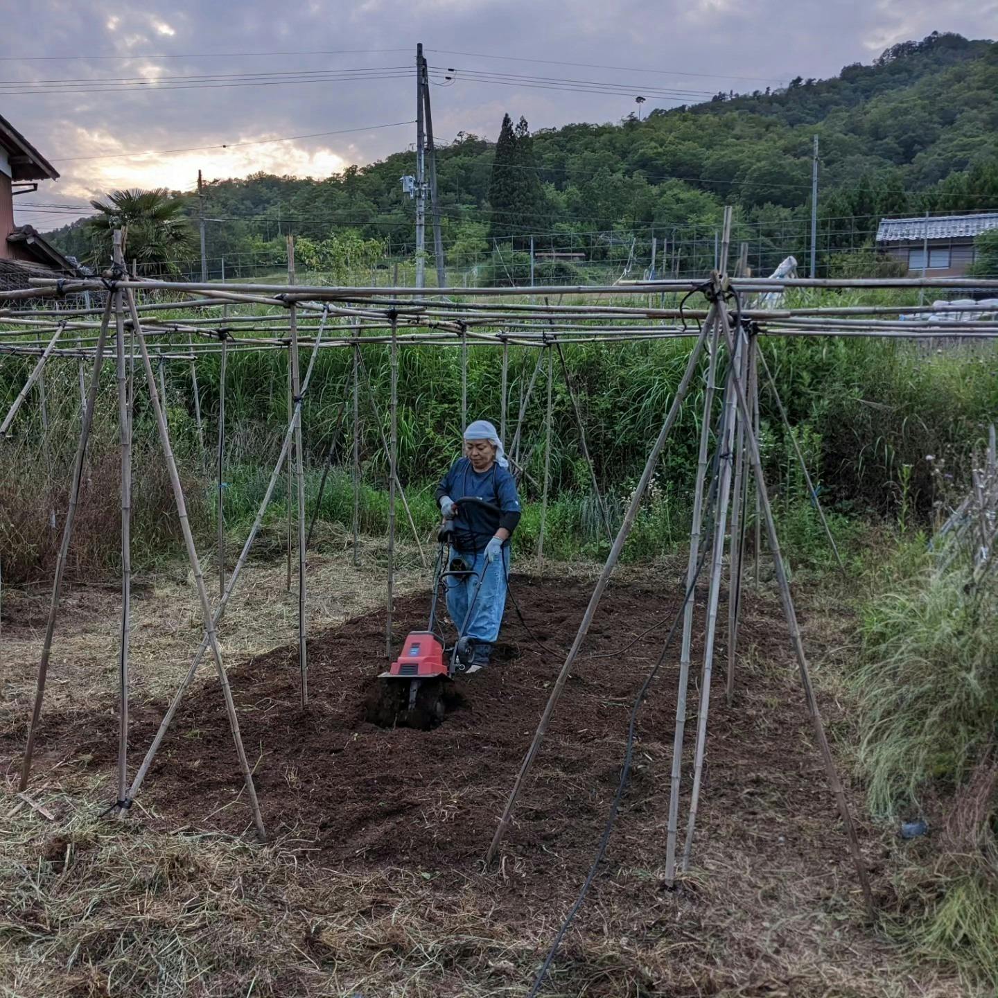 4番目のメイン画像