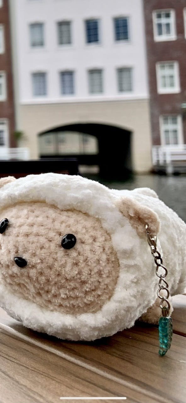 5番目のメイン画像