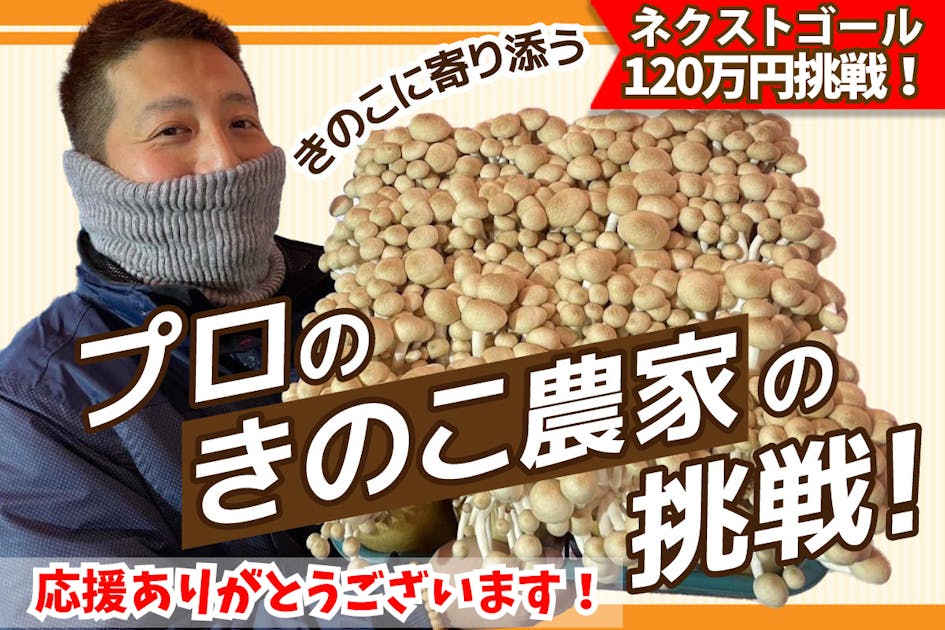 キノコ栽培25年！長野県中野市キノコ農家が本当に美味しいキノコをお