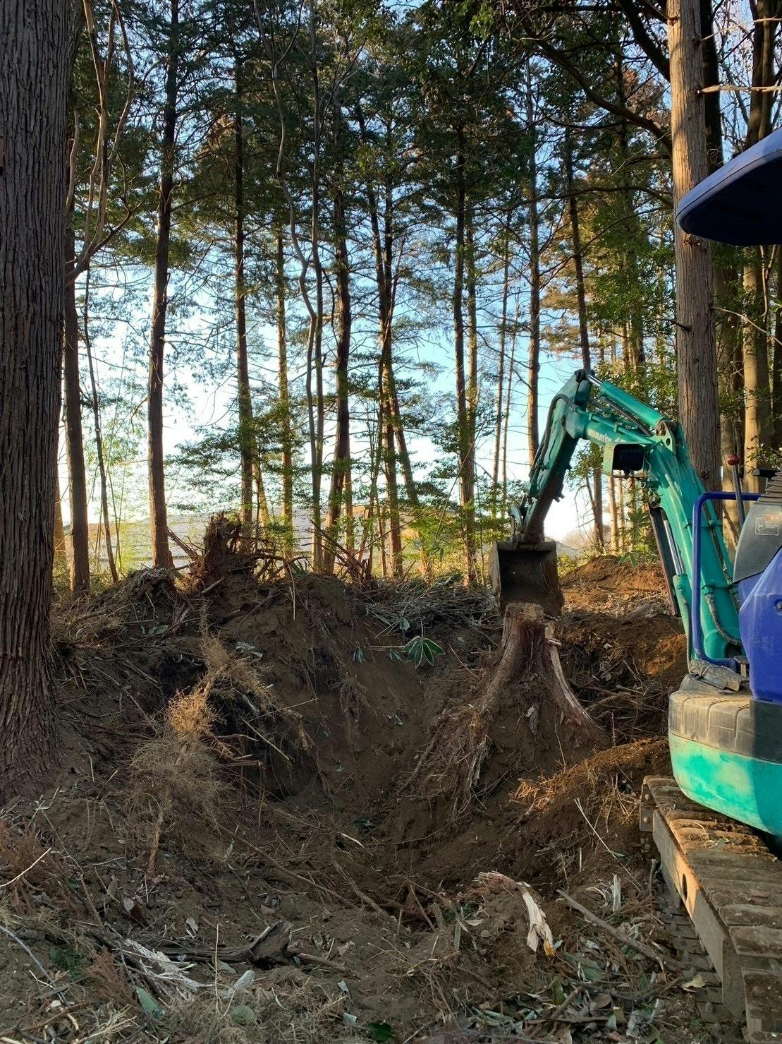 3番目のメイン画像