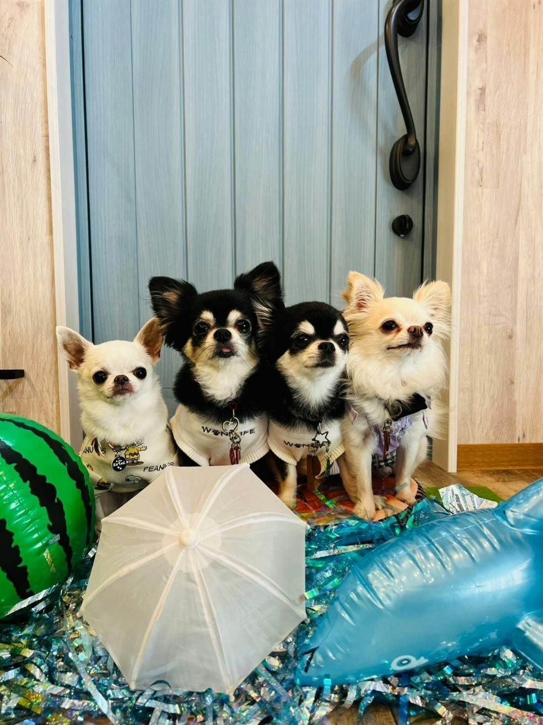 4番目のメイン画像