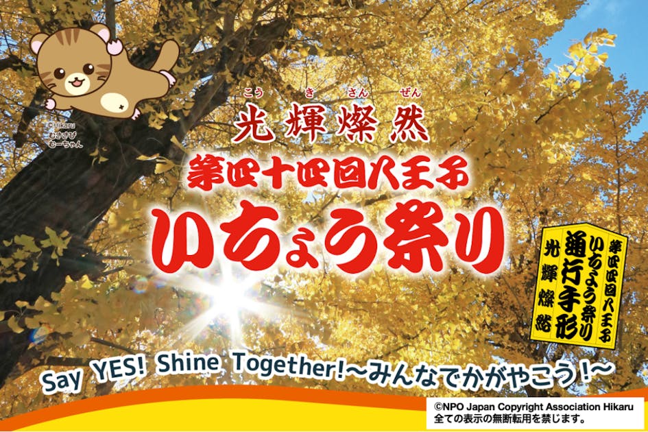 ☆3割引S❣️ 〜1/12夜9時⭐️本ベッコウの銀杏の葉のブローチ0828a 1個 9aa6730a-a873-474f-9d9c-