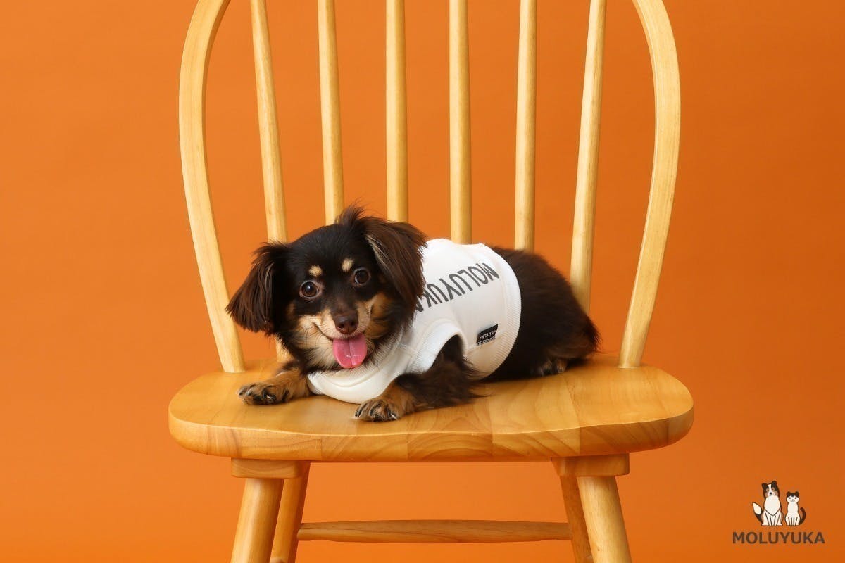 5番目のメイン画像