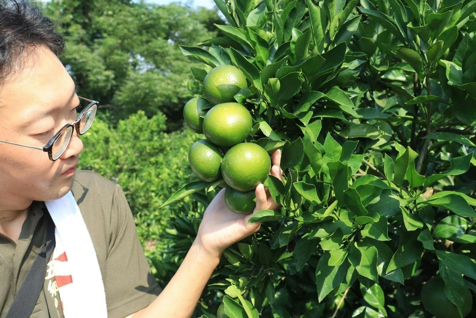 5番目のメイン画像