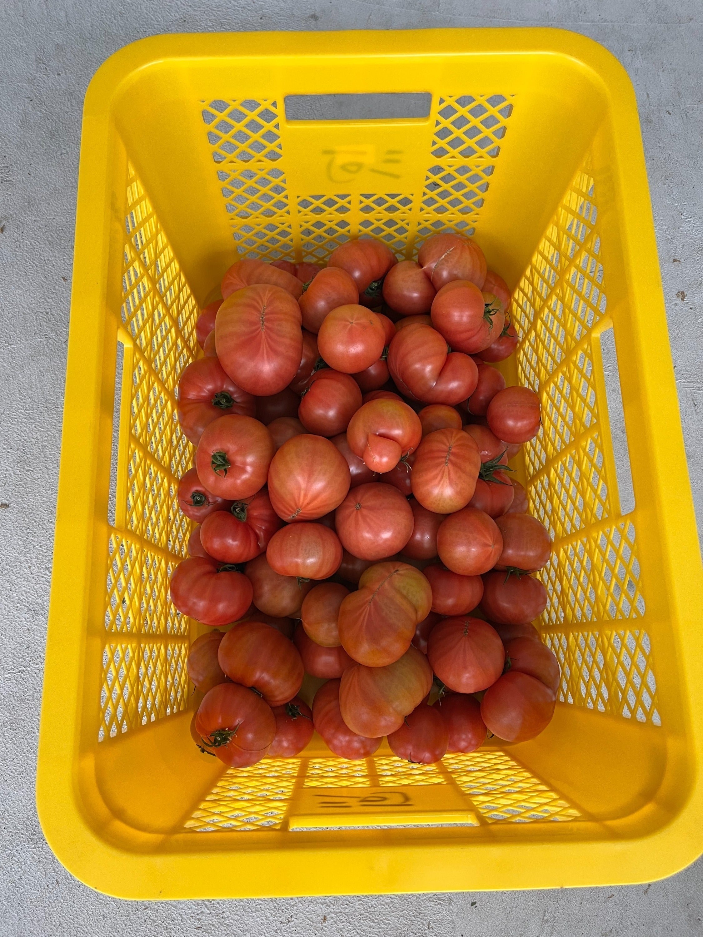 4番目のメイン画像