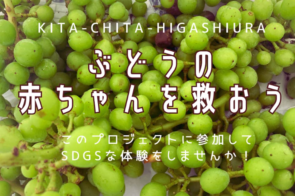 bbb836ae-2966-4d0a-9682-