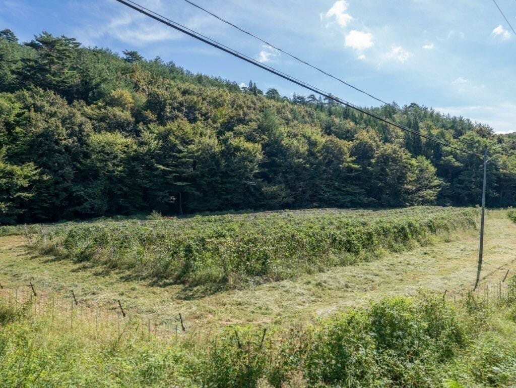 5番目のメイン画像