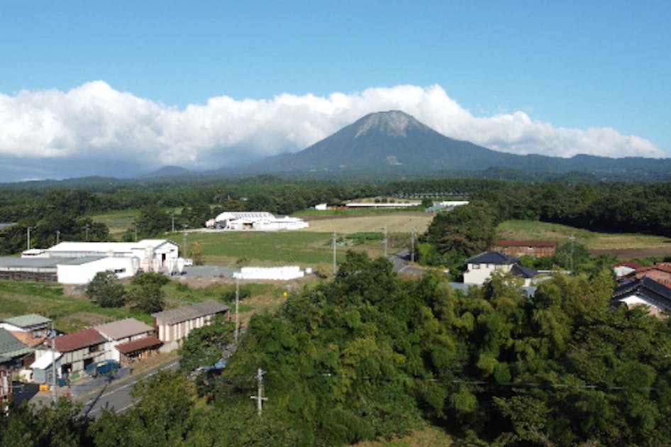 現代日本農業論考――存在と当為、日本の農業経済学の科学性、農業