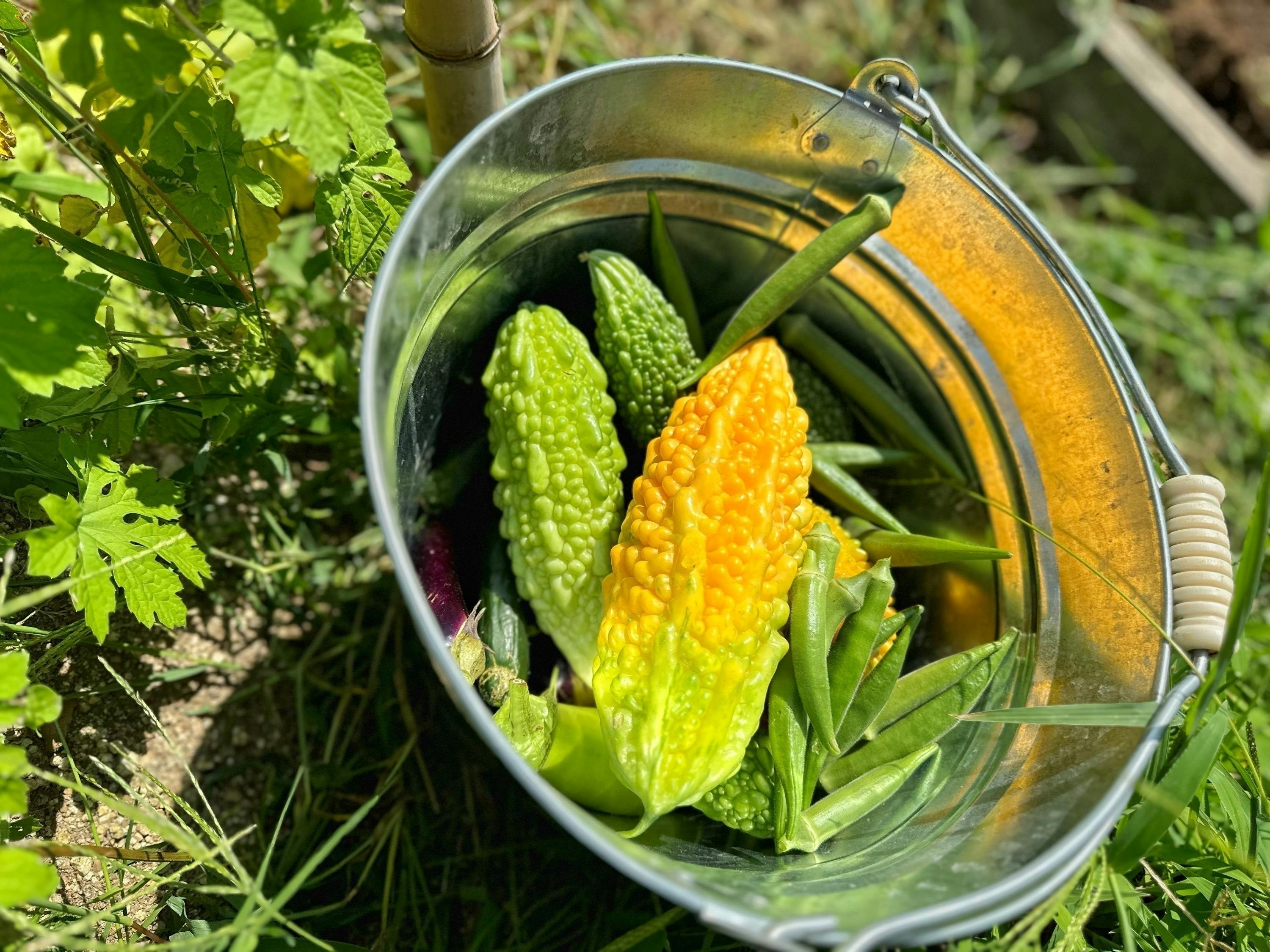 5番目のメイン画像