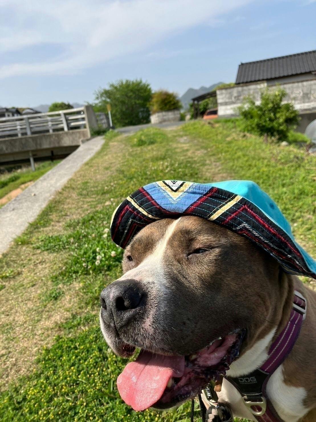 3番目のメイン画像