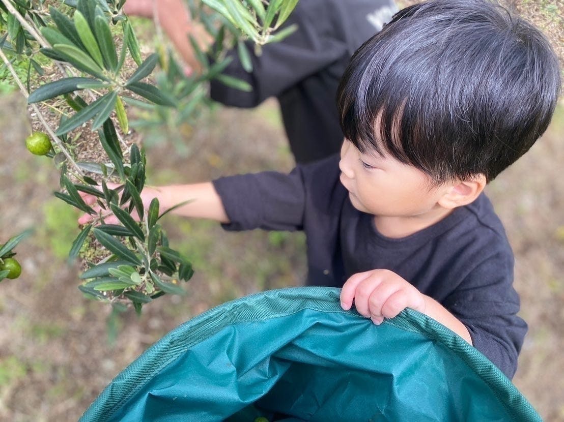 5番目のメイン画像