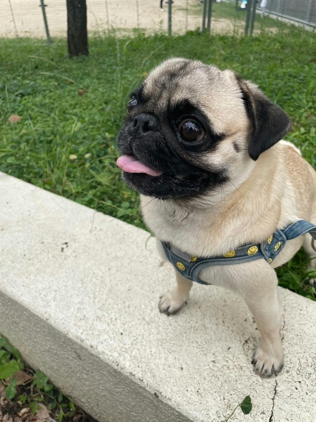 4番目のメイン画像