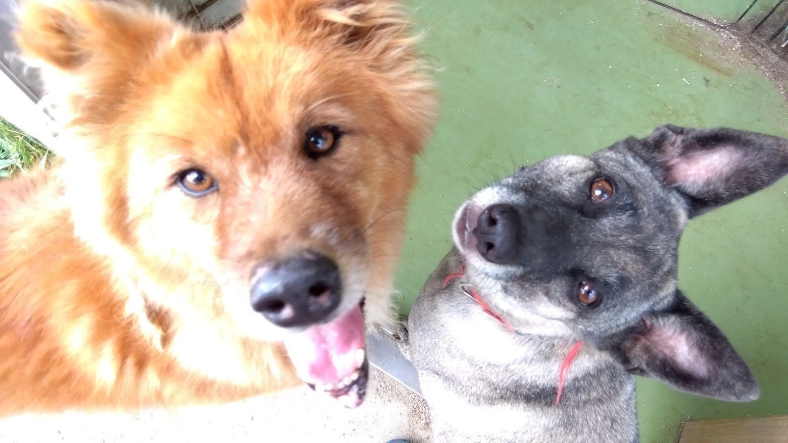 4番目のメイン画像