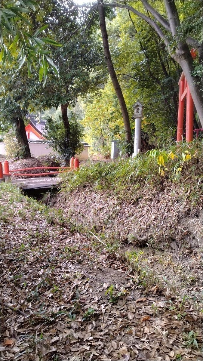 5番目のメイン画像