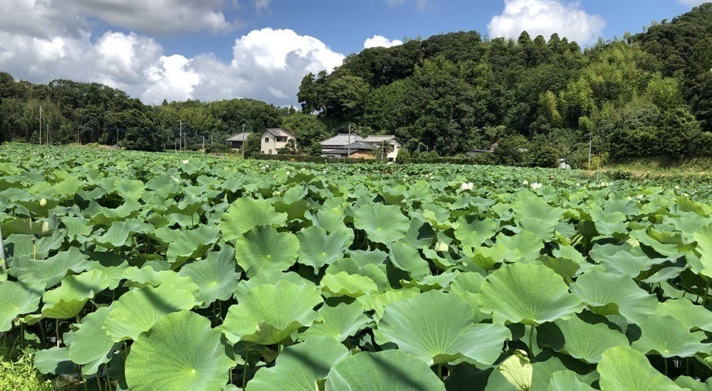 5番目のメイン画像