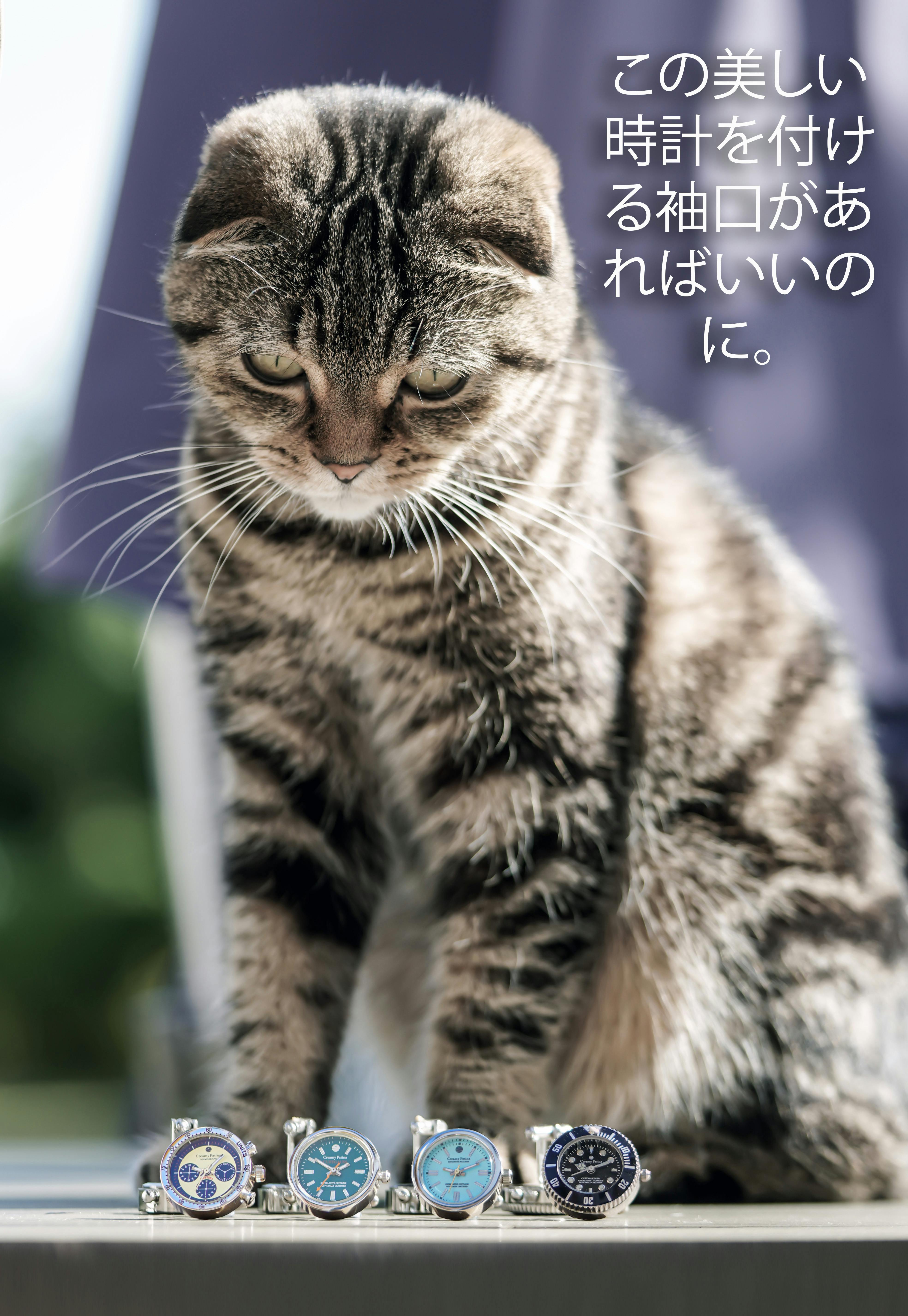 5番目のメイン画像