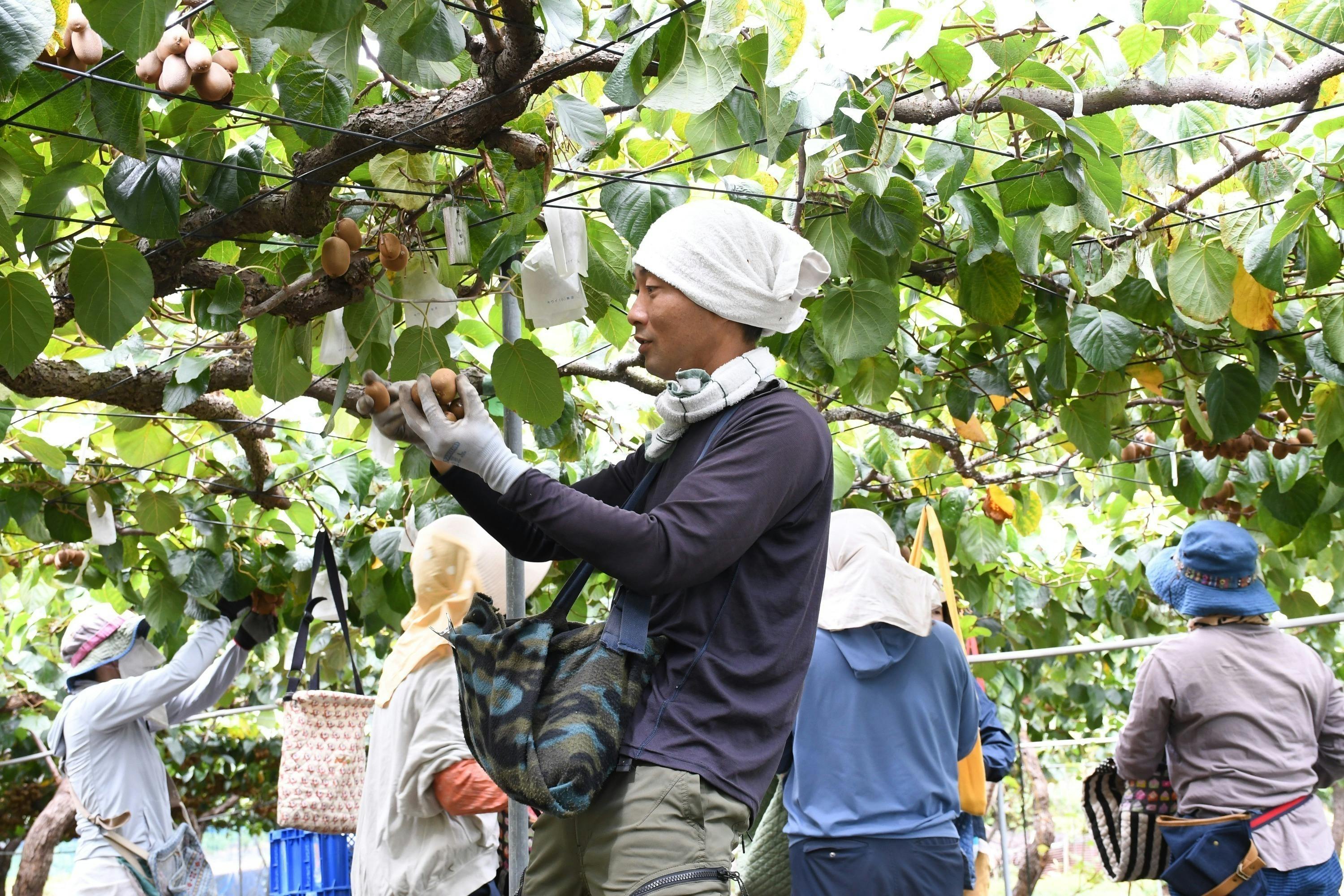 5番目のメイン画像