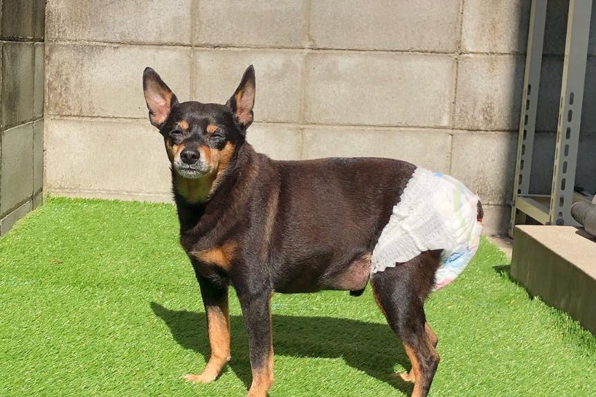 1番目のメイン画像