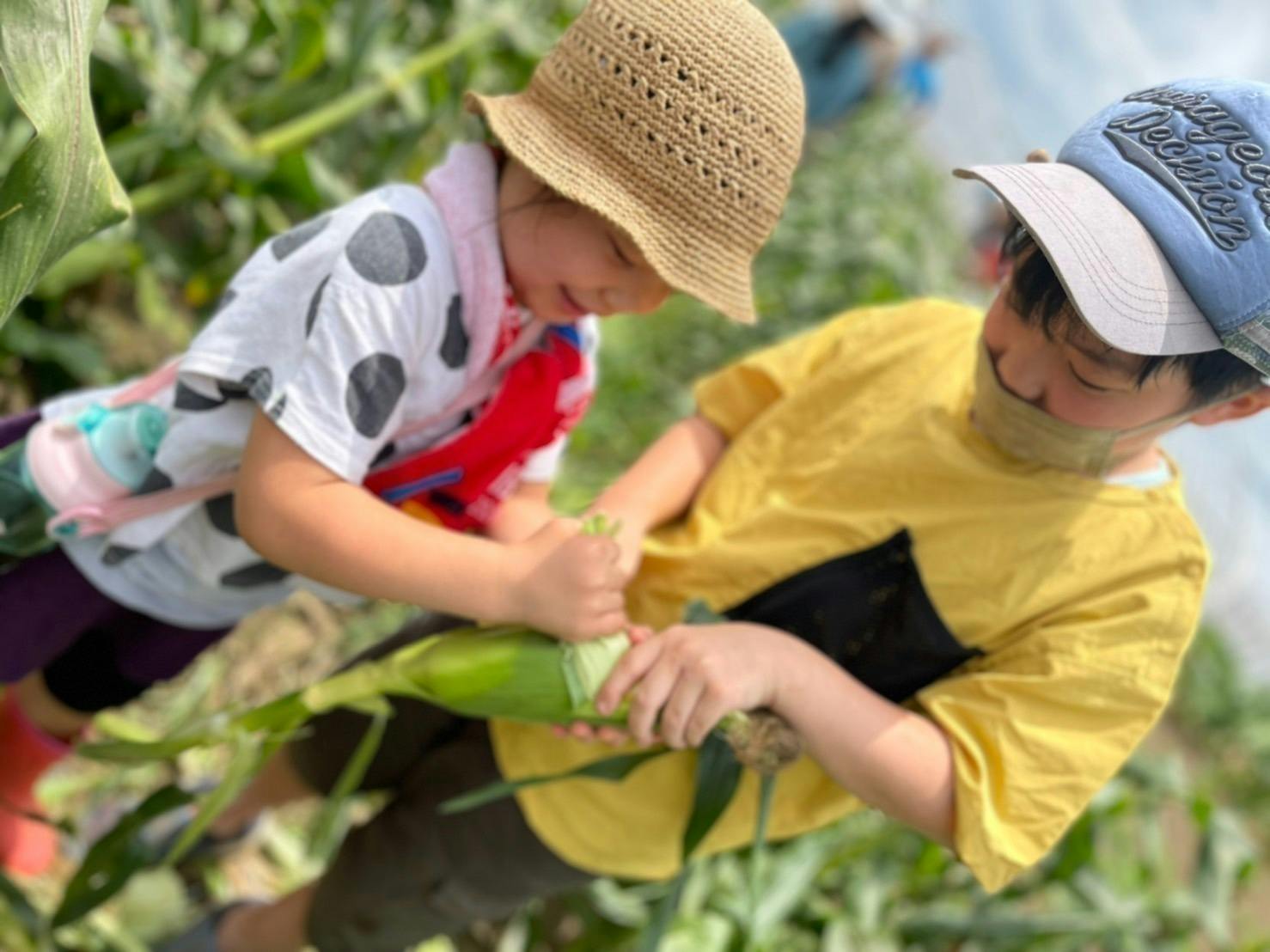 3番目のメイン画像