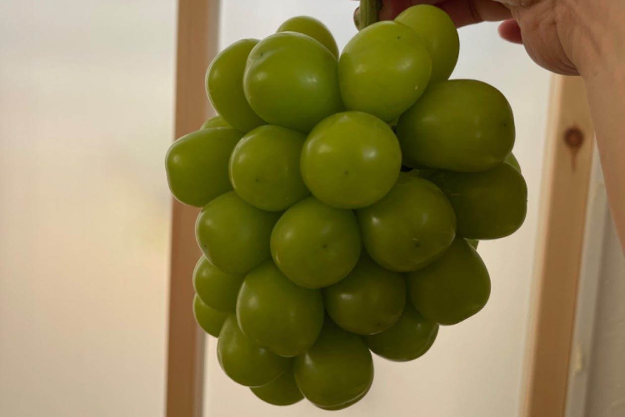 1番目のメイン画像