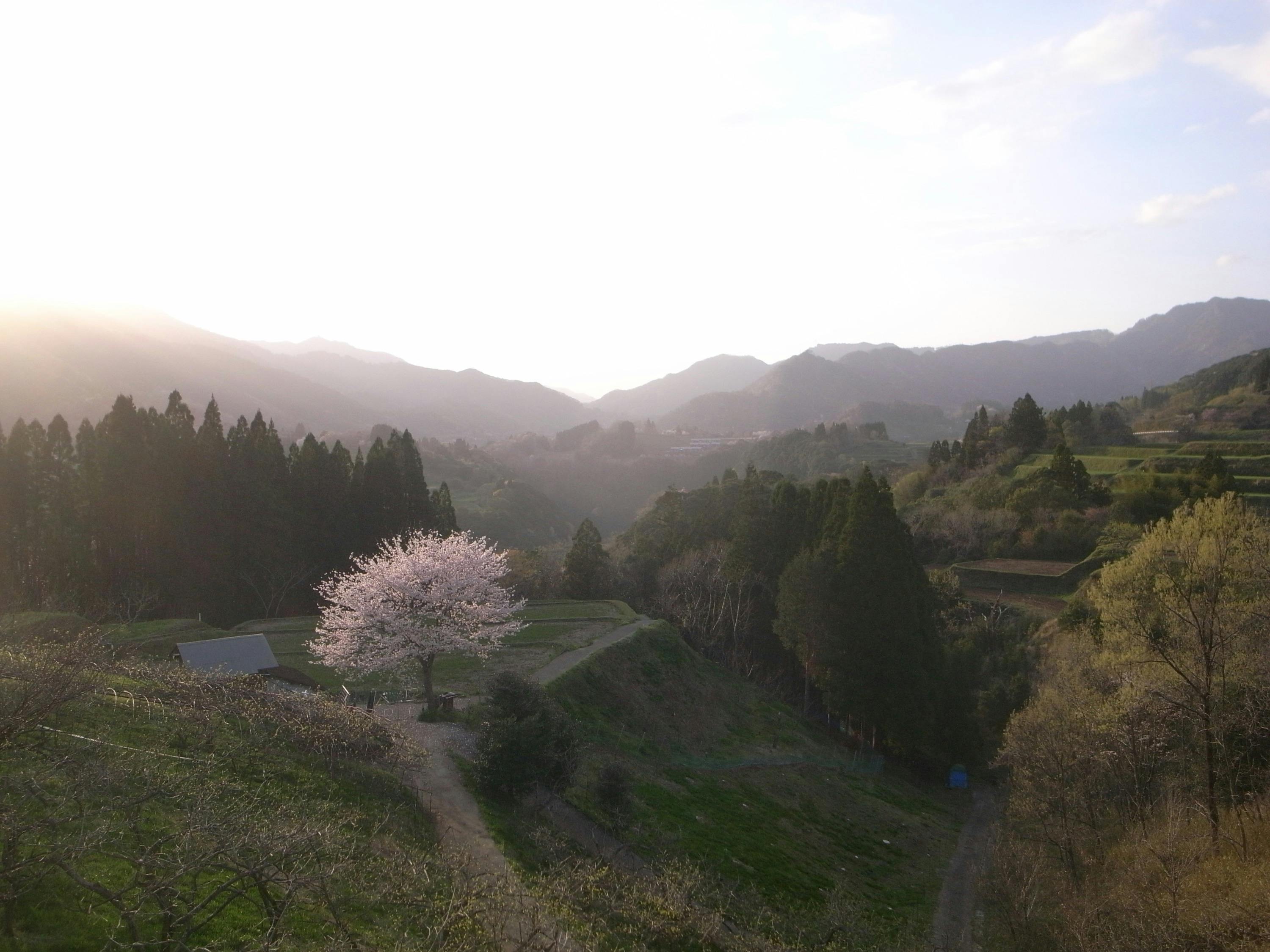 4番目のメイン画像