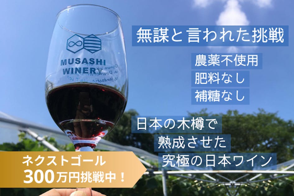 【希少】ブドウ畑から始まる職人ワイン造り Amazon.co.jp: ブドウ畑から始まる職人ワイン造り: ブドウ栽培