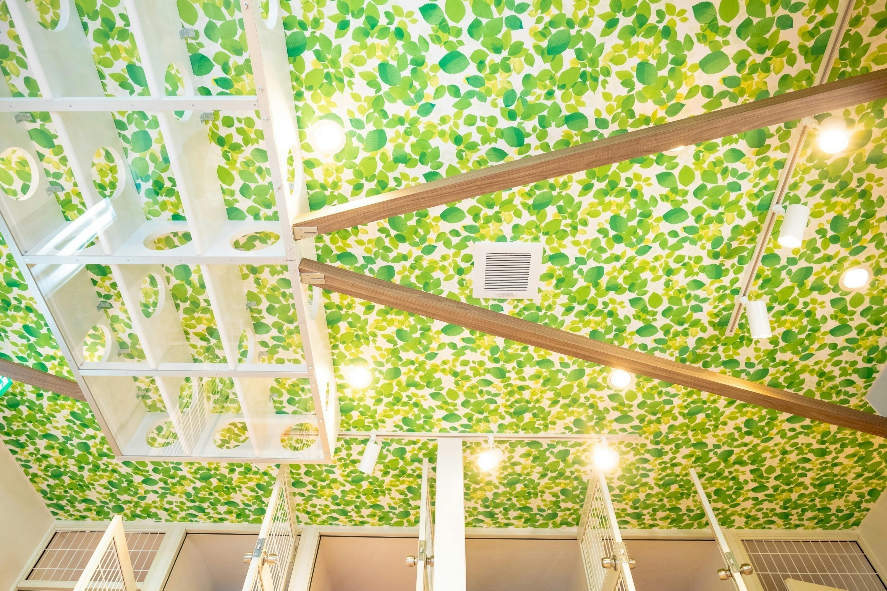 5番目のメイン画像