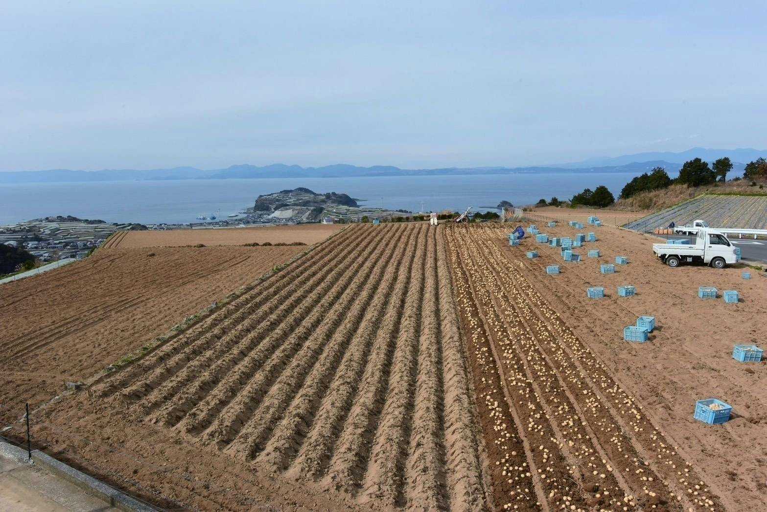 4番目のメイン画像