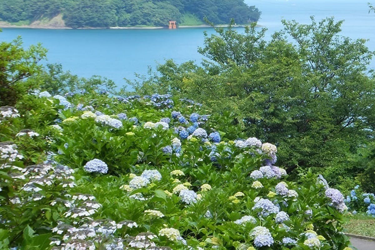 5番目のメイン画像