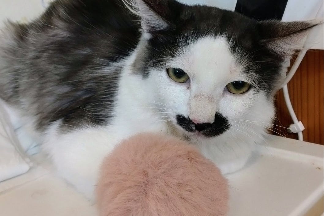 1番目のメイン画像