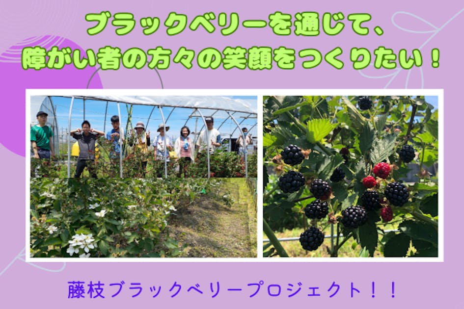 ブラックベリーを通じ、障がい者の方々の笑顔をつくりたい