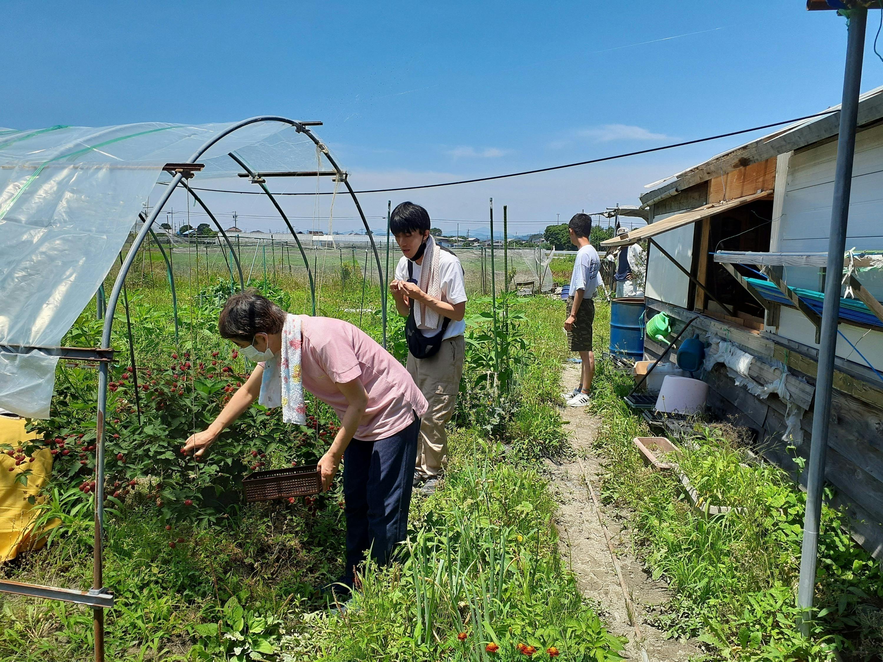 3番目のメイン画像