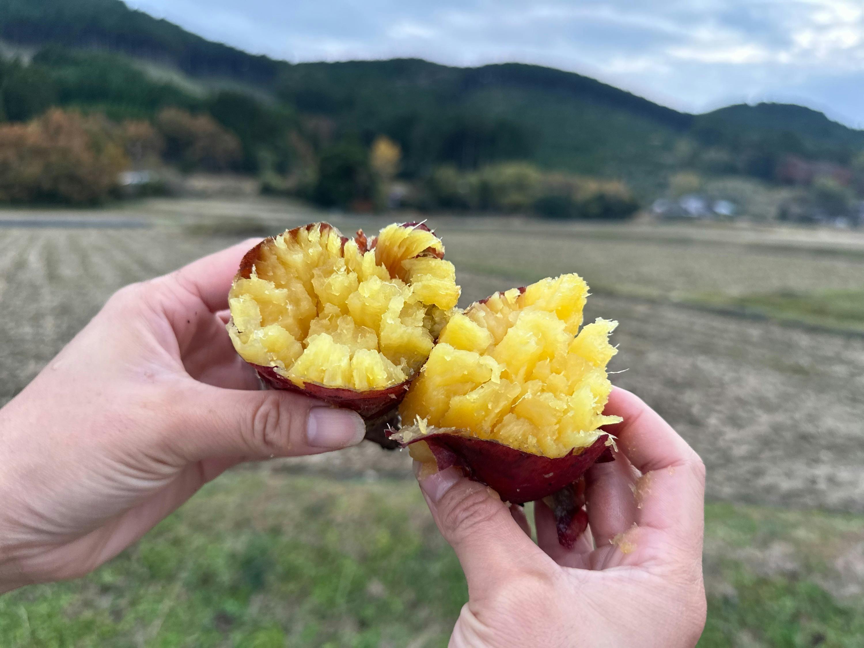 4番目のメイン画像