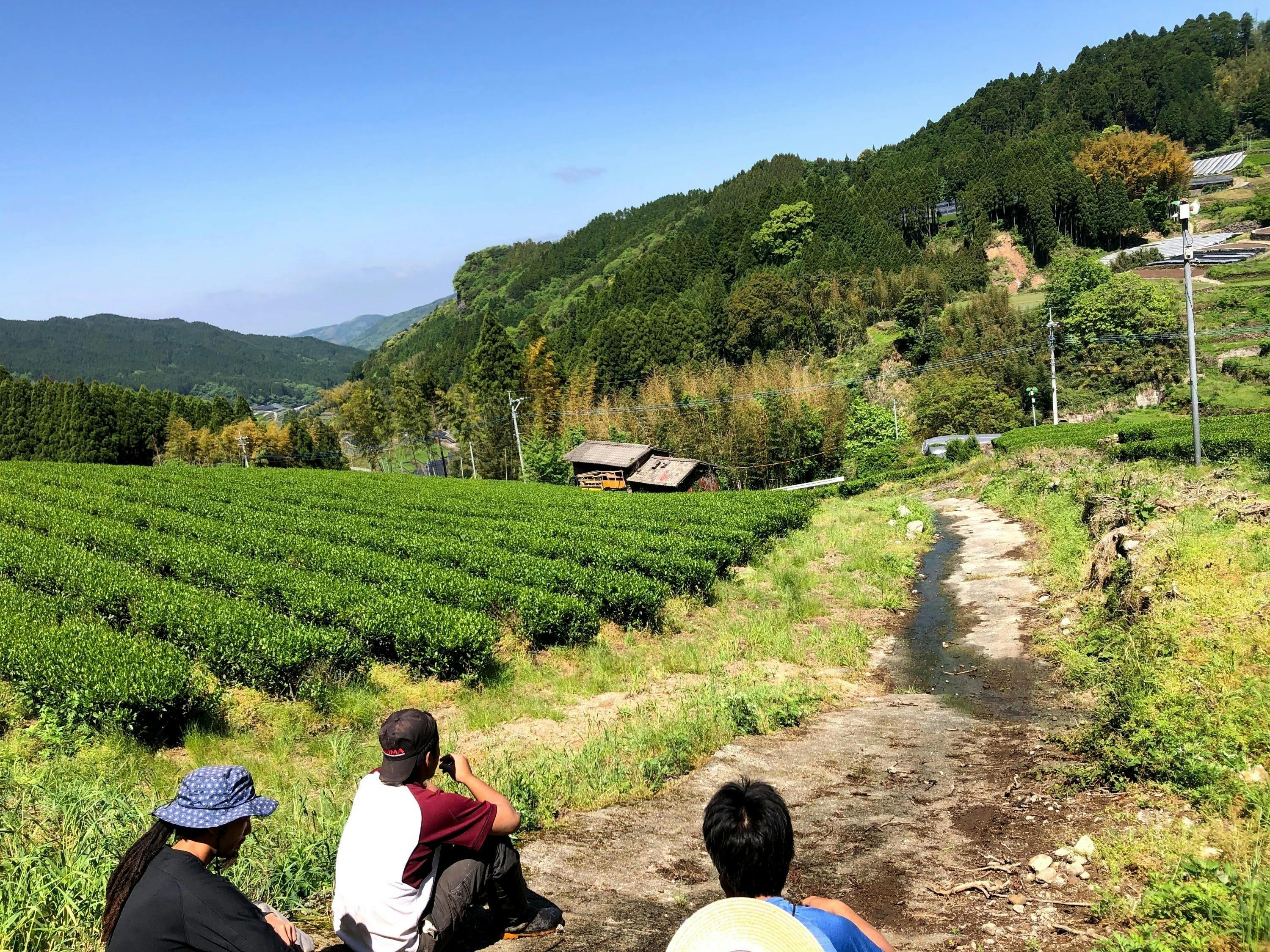 3番目のメイン画像