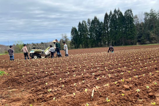 1番目のメイン画像