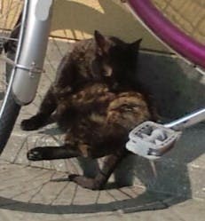 5番目のメイン画像