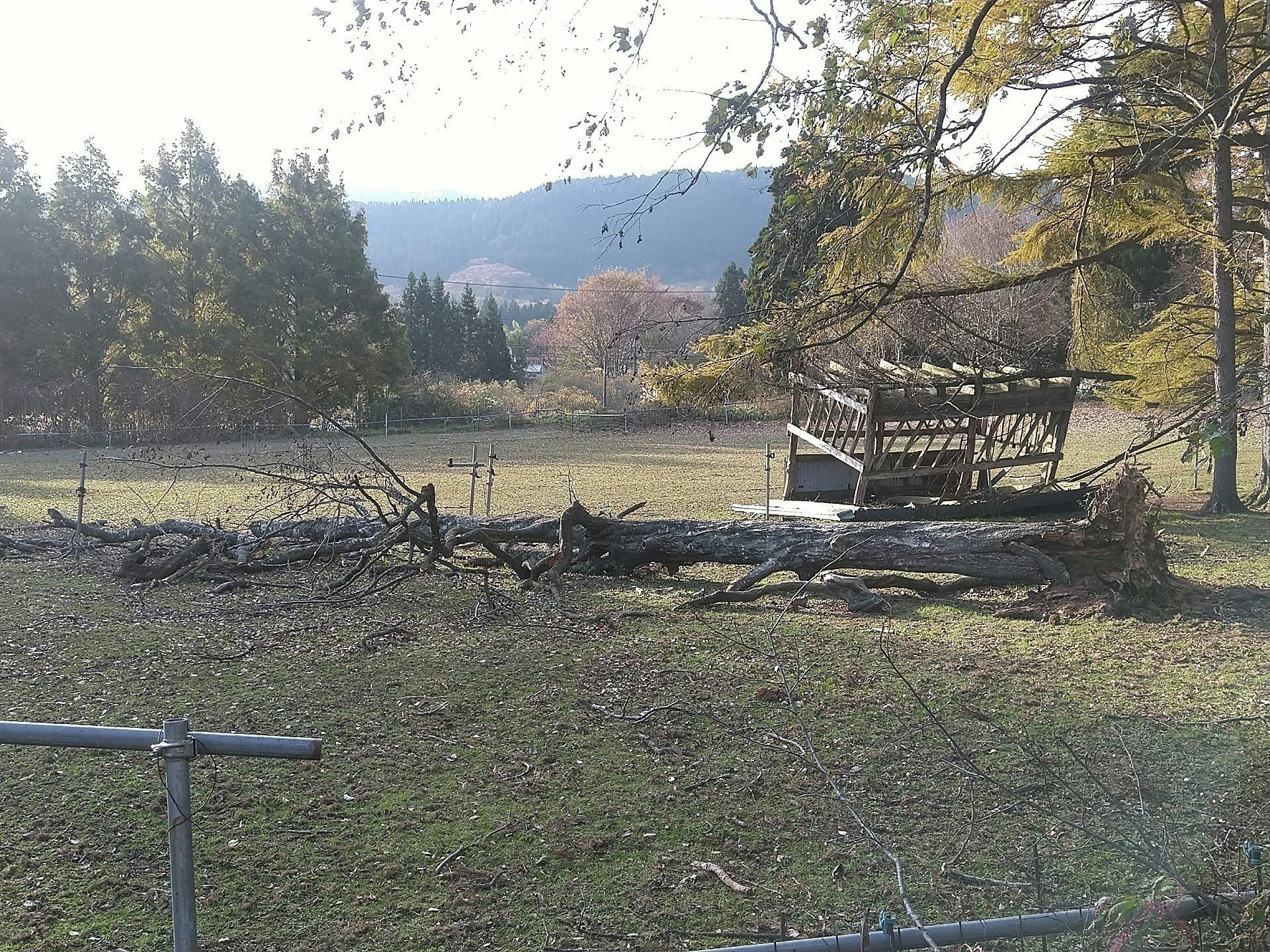 5番目のメイン画像