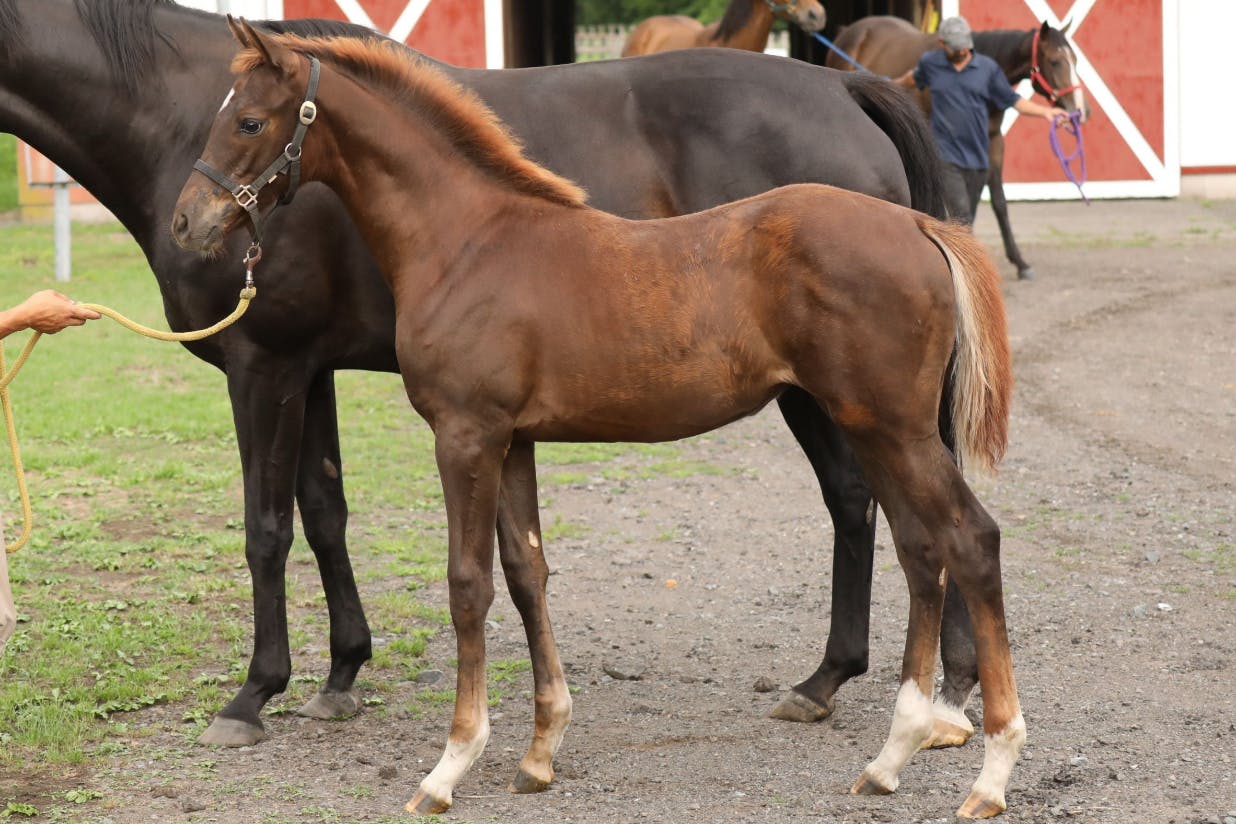 1番目のメイン画像