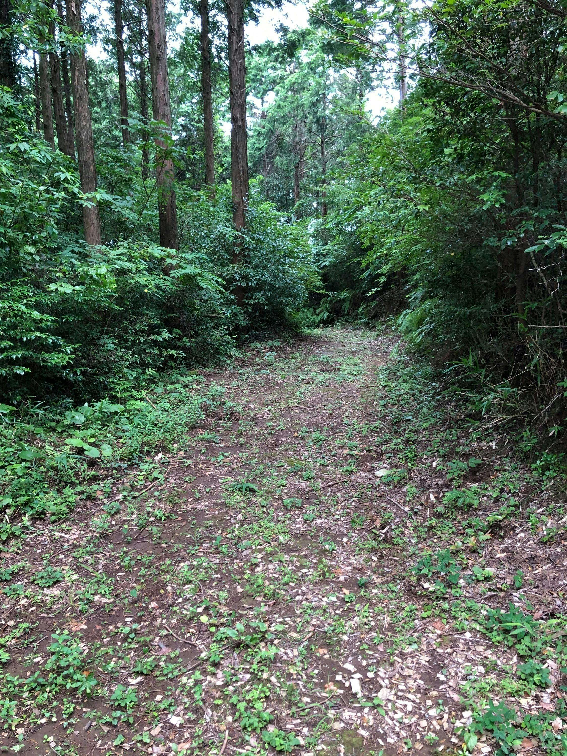 3番目のメイン画像