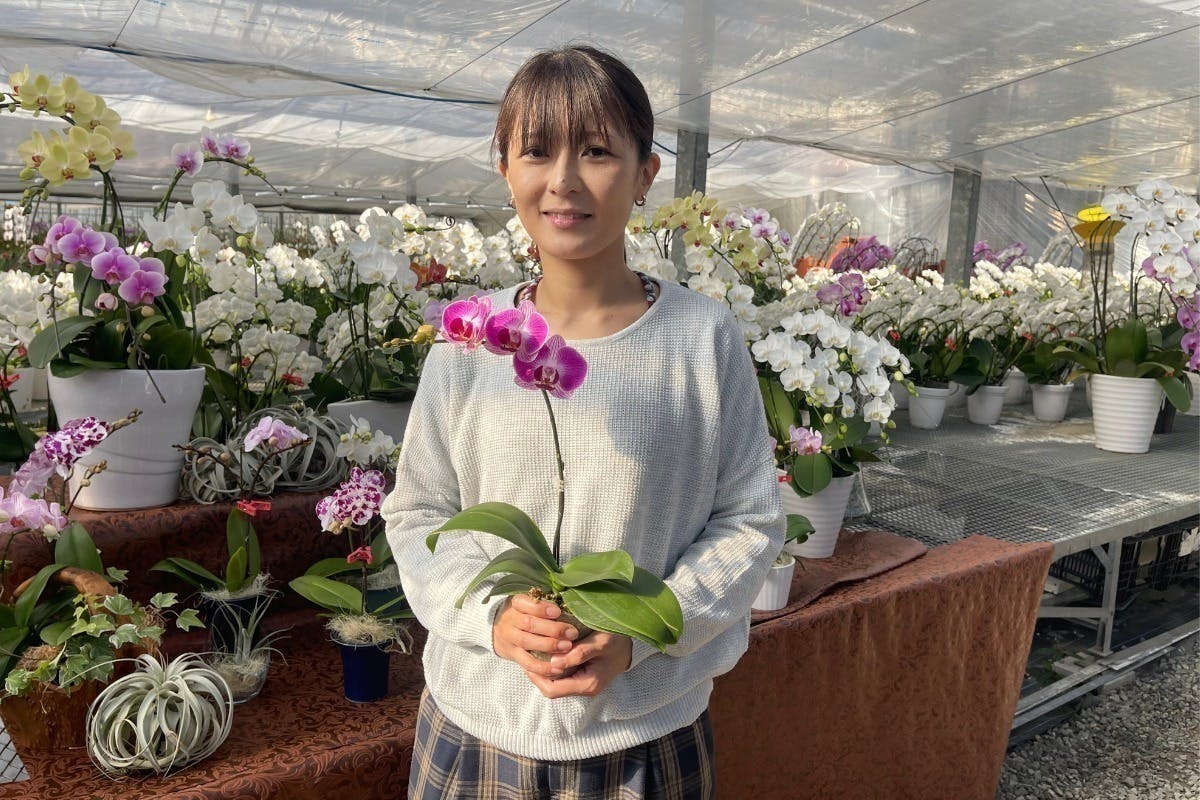 3番目のメイン画像