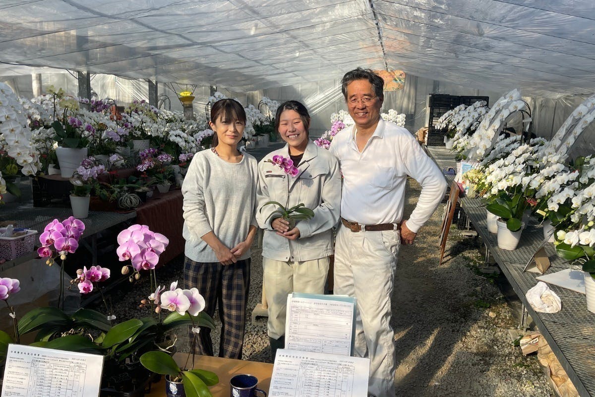 2番目のメイン画像