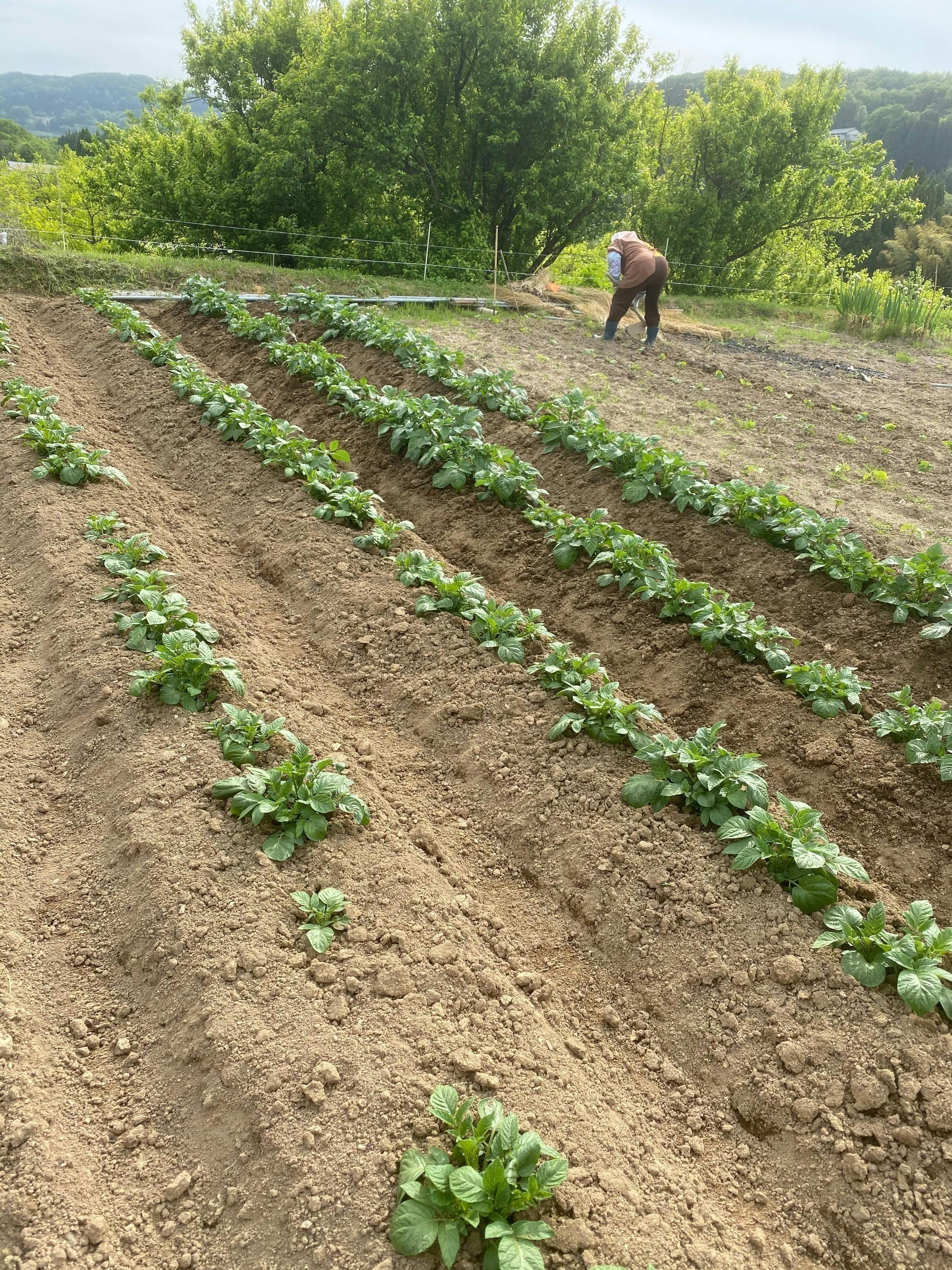 4番目のメイン画像