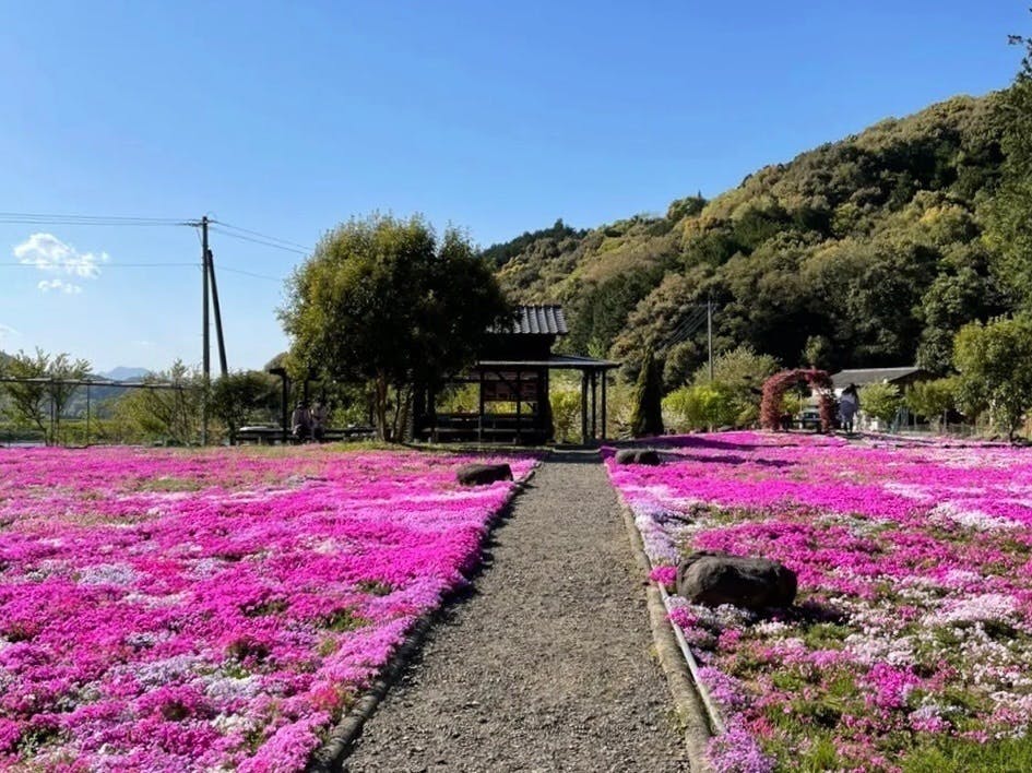 4番目のメイン画像