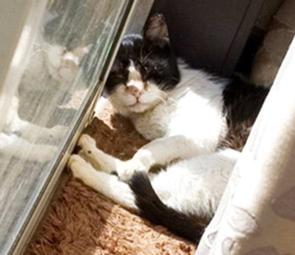 2番目のメイン画像